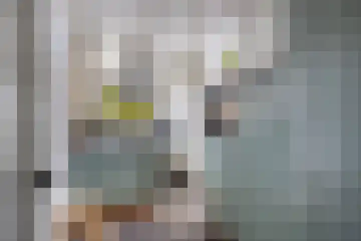 Hoge Rijndijk 21 Zoeterwoude thumbnail 11