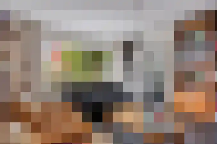 Hoge Rijndijk 21 Zoeterwoude thumbnail 15