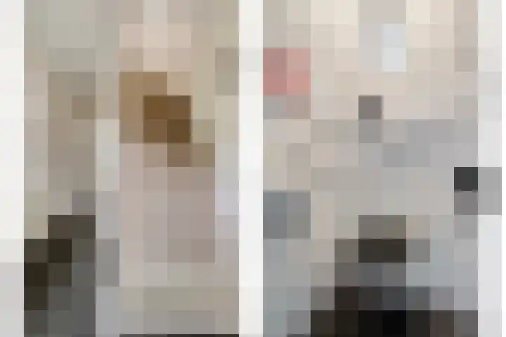 Hoge Rijndijk 21 Zoeterwoude thumbnail 16