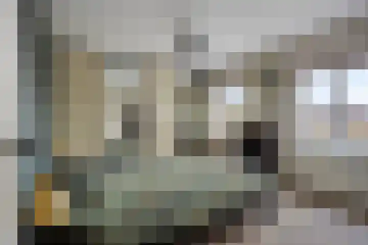Hoge Rijndijk 21 Zoeterwoude thumbnail 17