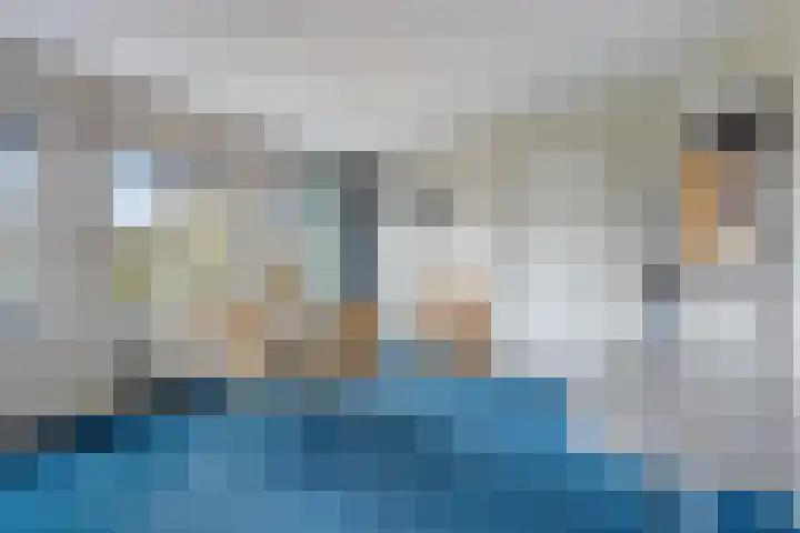 Hoge Rijndijk 21 Zoeterwoude thumbnail 18