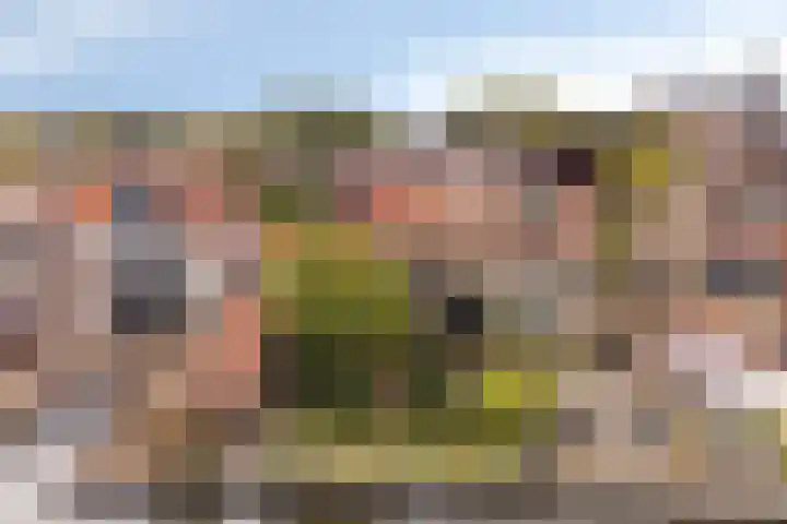 Hoge Rijndijk 21 Zoeterwoude foto 2