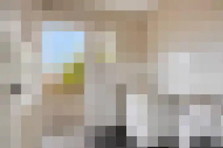Hoge Rijndijk 21 Zoeterwoude thumbnail 22