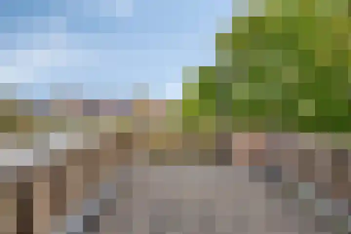 Hoge Rijndijk 21 Zoeterwoude thumbnail 23