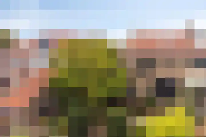 Hoge Rijndijk 21 Zoeterwoude thumbnail 30