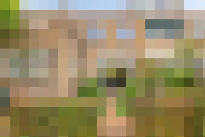 Hoge Rijndijk 21 Zoeterwoude thumbnail 31