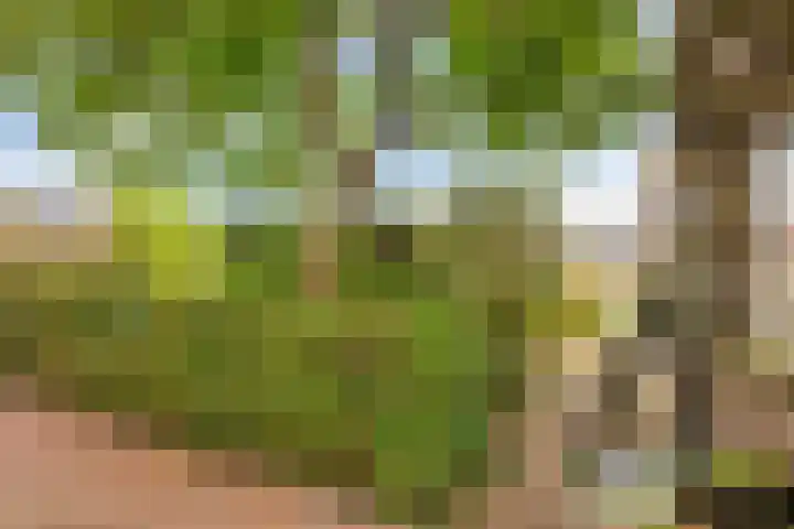 Hoge Rijndijk 21 Zoeterwoude thumbnail 33