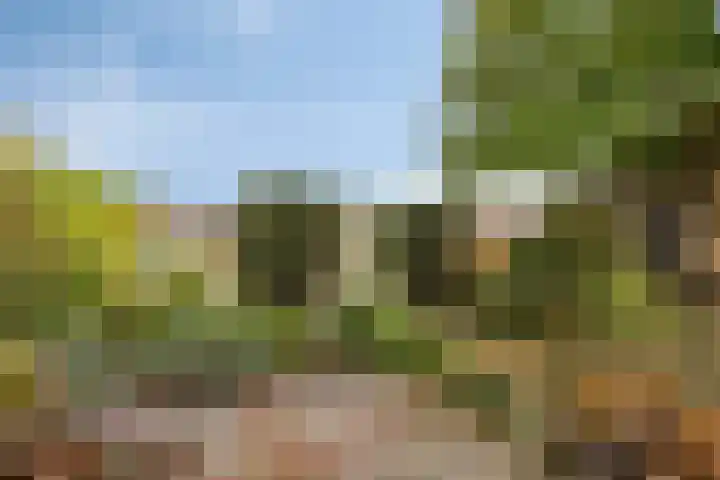 Hoge Rijndijk 21 Zoeterwoude thumbnail 34