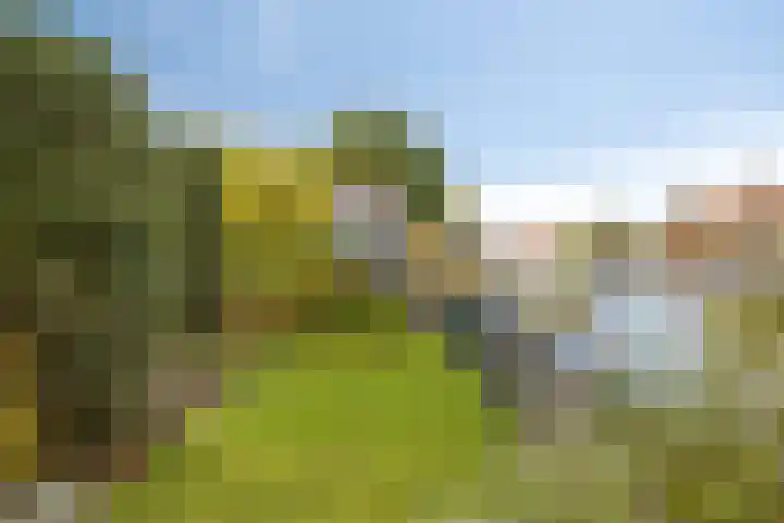 Hoge Rijndijk 21 Zoeterwoude thumbnail 35