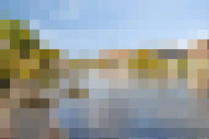 Hoge Rijndijk 21 Zoeterwoude thumbnail 36