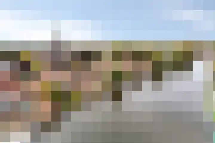 Hoge Rijndijk 21 Zoeterwoude thumbnail 38