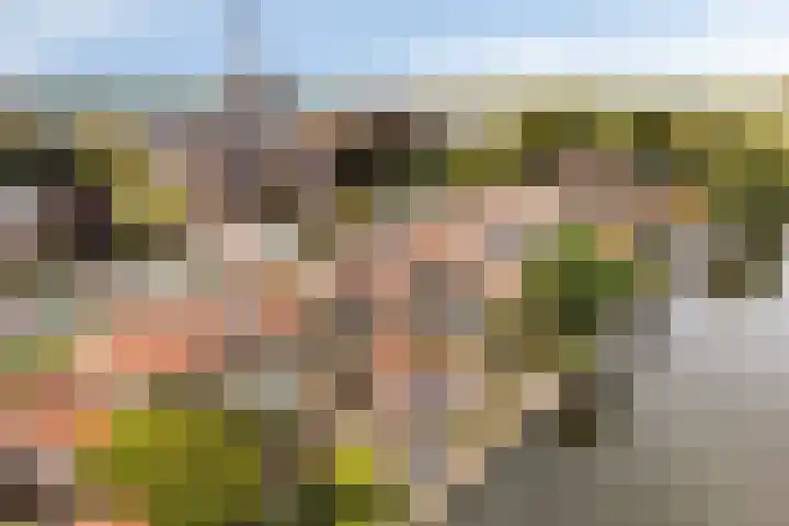 Hoge Rijndijk 21 Zoeterwoude thumbnail 39
