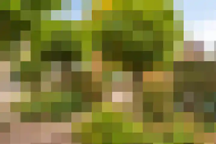 Hoge Rijndijk 21 Zoeterwoude thumbnail 4