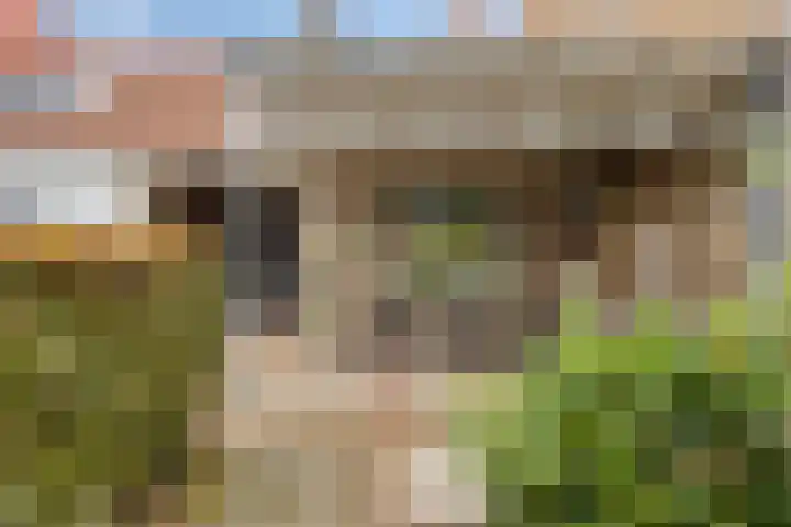 Hoge Rijndijk 21 Zoeterwoude thumbnail 40