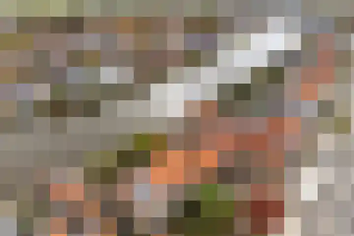 Hoge Rijndijk 21 Zoeterwoude thumbnail 42