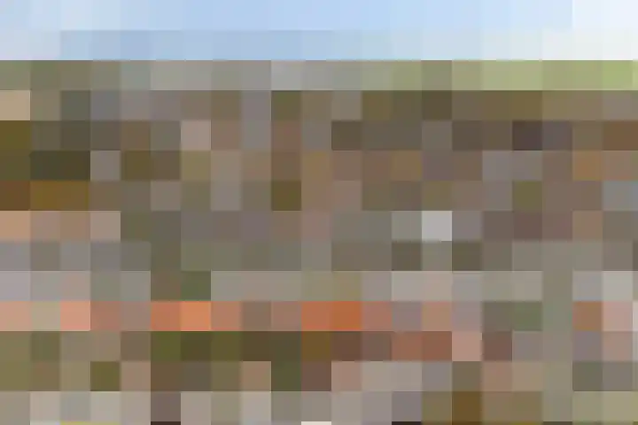 Hoge Rijndijk 21 Zoeterwoude thumbnail 44