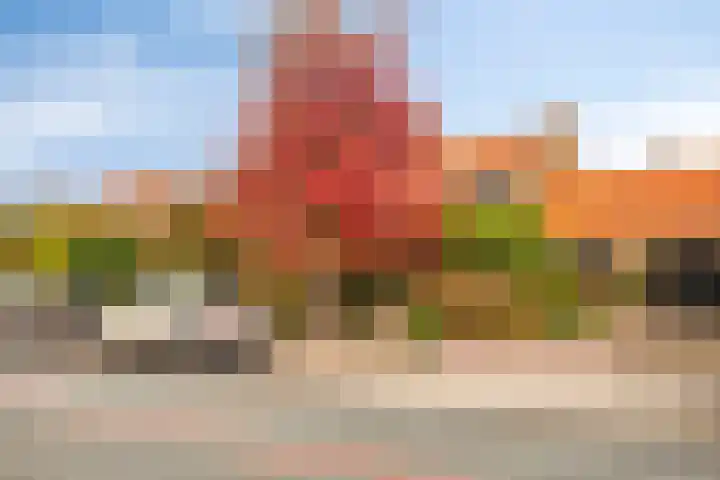 Hoge Rijndijk 21 Zoeterwoude thumbnail 45