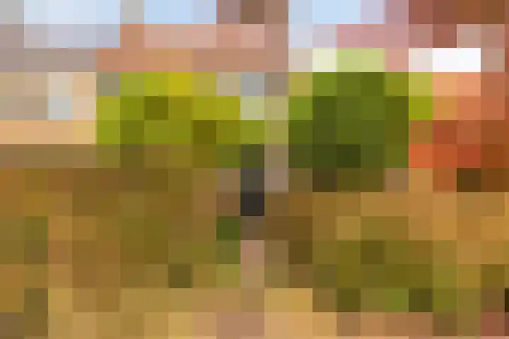 Hoge Rijndijk 21 Zoeterwoude thumbnail 46