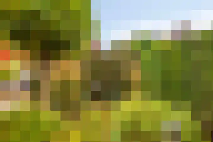 Hoge Rijndijk 21 Zoeterwoude thumbnail 47