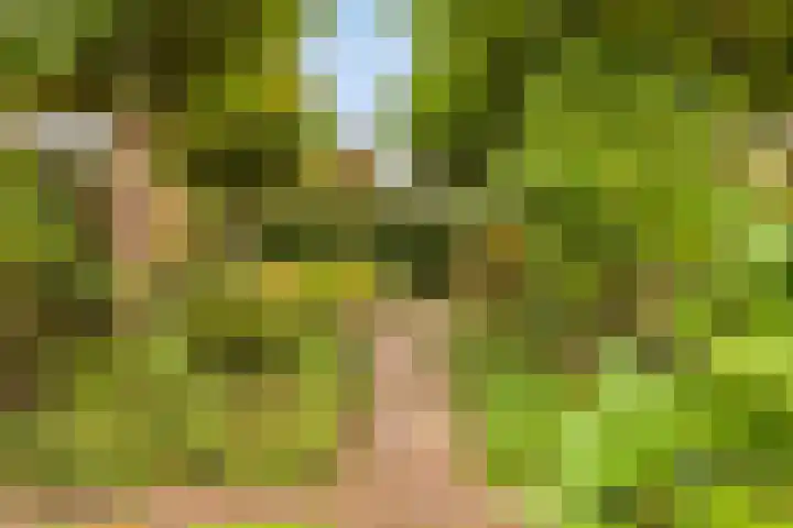 Hoge Rijndijk 21 Zoeterwoude thumbnail 48