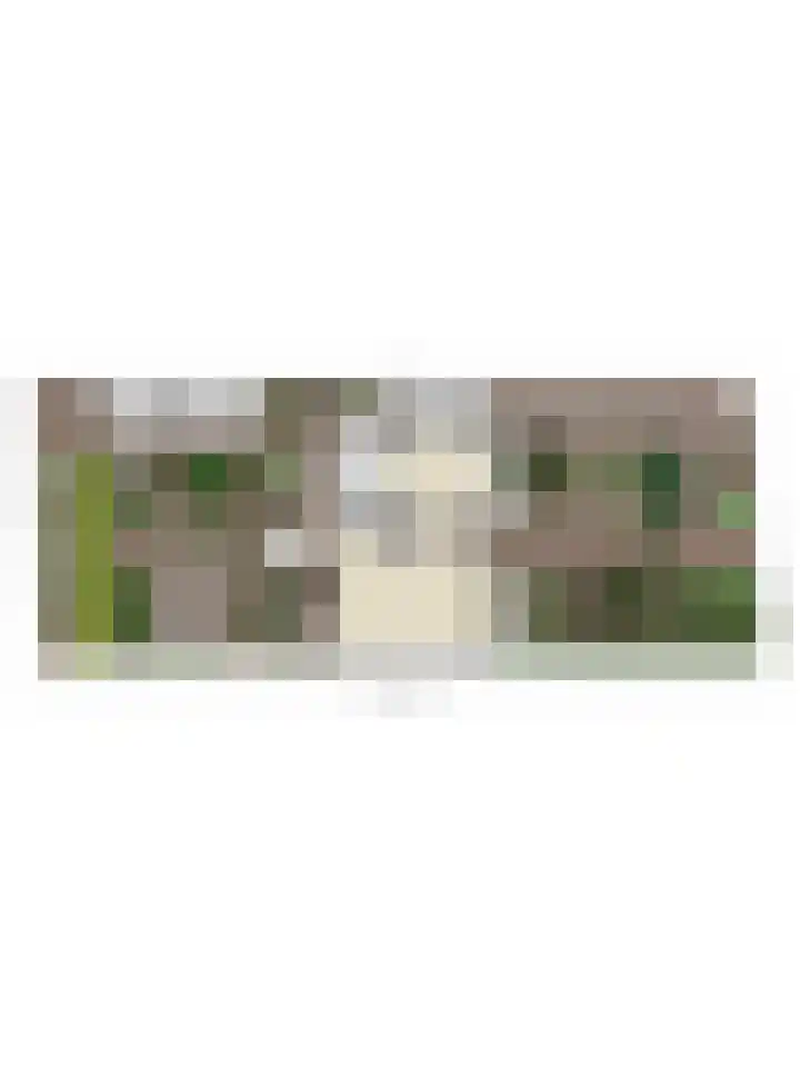 Hoge Rijndijk 21 Zoeterwoude thumbnail 50