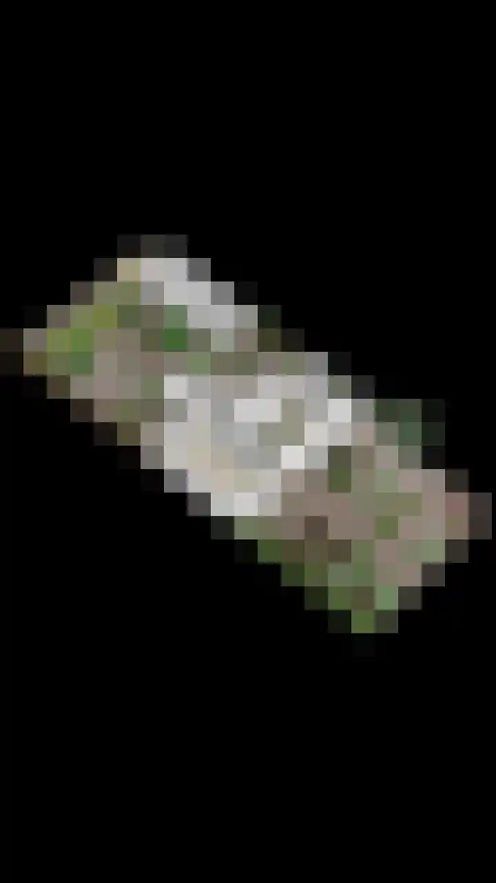 Hoge Rijndijk 21 Zoeterwoude thumbnail 58