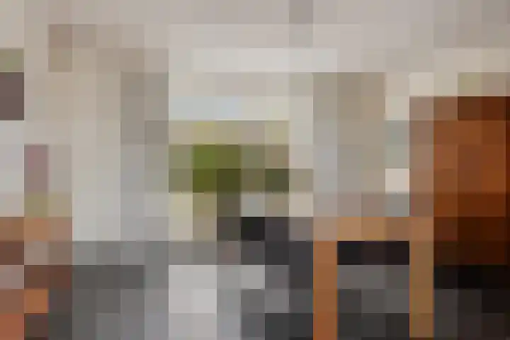 Hoge Rijndijk 21 Zoeterwoude thumbnail 9