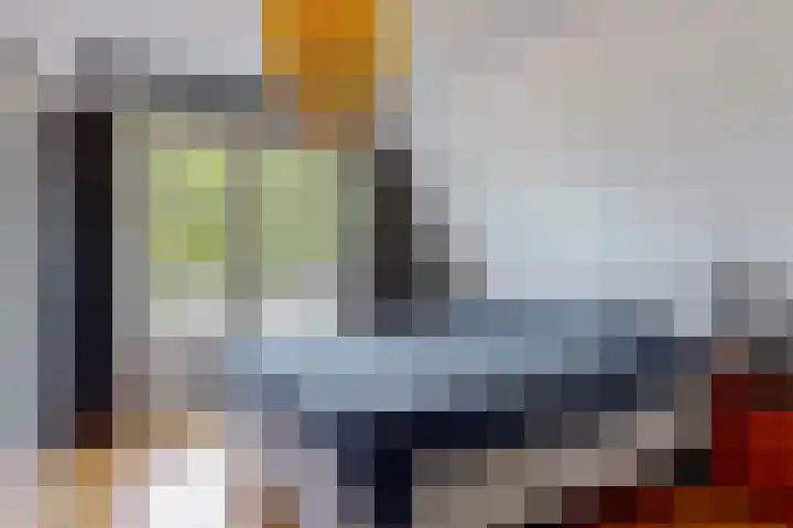 Hoge Rijndijk 217 Leiden thumbnail 38