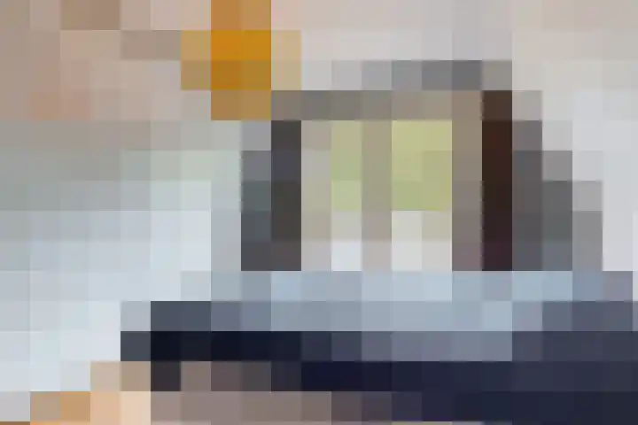 Hoge Rijndijk 217 Leiden thumbnail 39