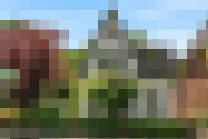 Hoge Rijndijk 217 Leiden thumbnail 4
