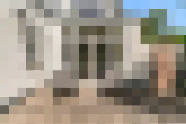 Hoge Rijndijk 217 Leiden thumbnail 42