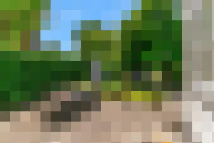 Hoge Rijndijk 217 Leiden thumbnail 43