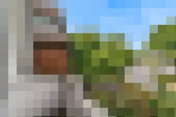 Hoge Rijndijk 217 Leiden thumbnail 53