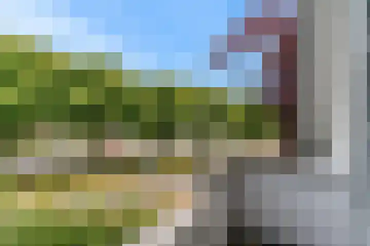 Hoge Rijndijk 217 Leiden thumbnail 54