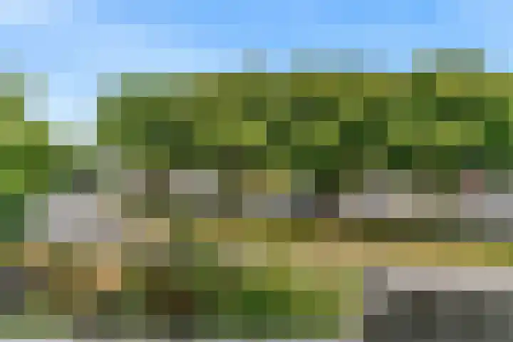 Hoge Rijndijk 217 Leiden thumbnail 55