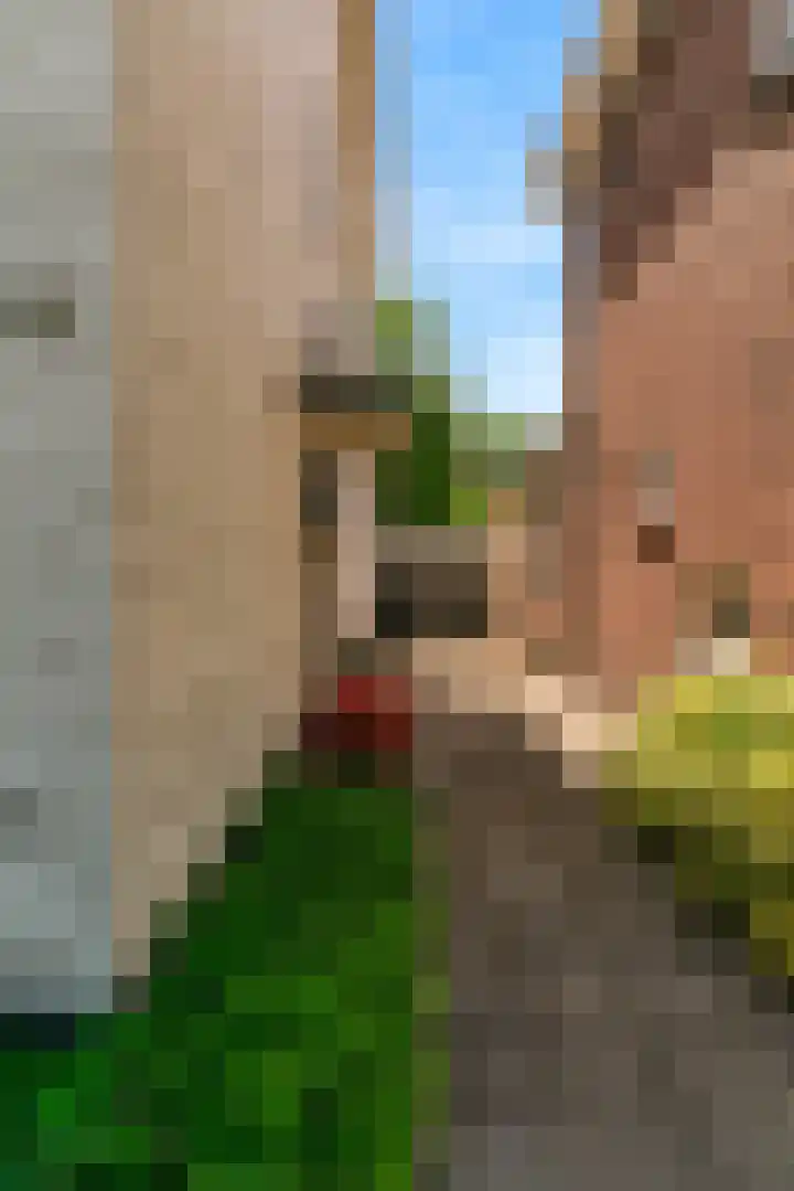 Hoge Rijndijk 217 Leiden thumbnail 56