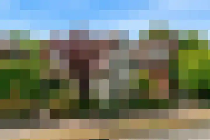 Hoge Rijndijk 217 Leiden thumbnail 58