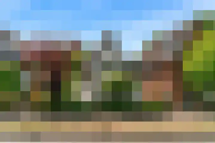 Hoge Rijndijk 217 Leiden thumbnail 59