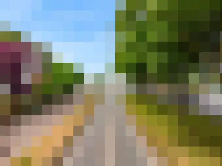 Hoge Rijndijk 217 Leiden thumbnail 61