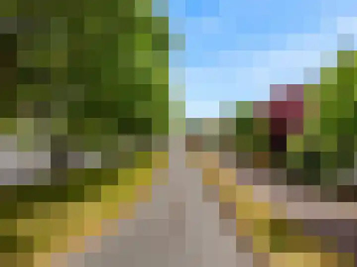 Hoge Rijndijk 217 Leiden thumbnail 62
