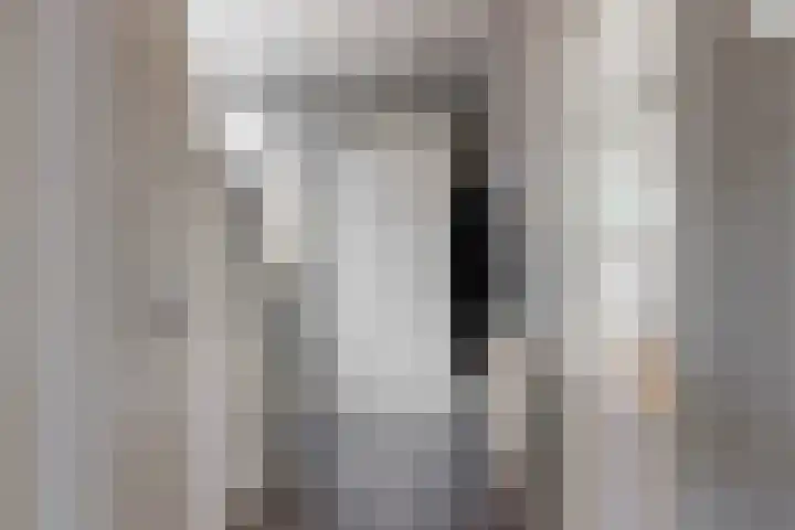 Hoge Rijndijk 217 Leiden thumbnail 7