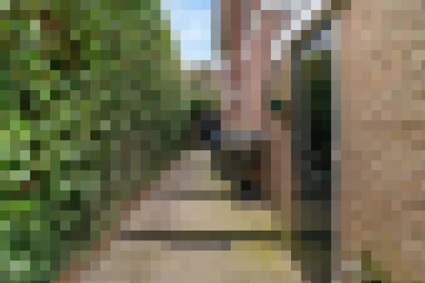 Hoge Rijndijk 219 Leiden thumbnail 18