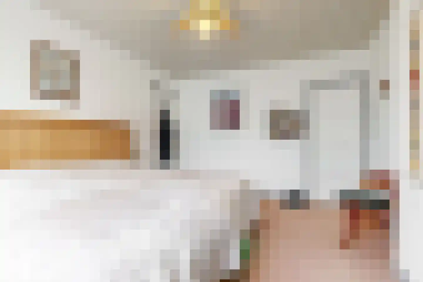 Hoge Rijndijk 219 Leiden thumbnail 28