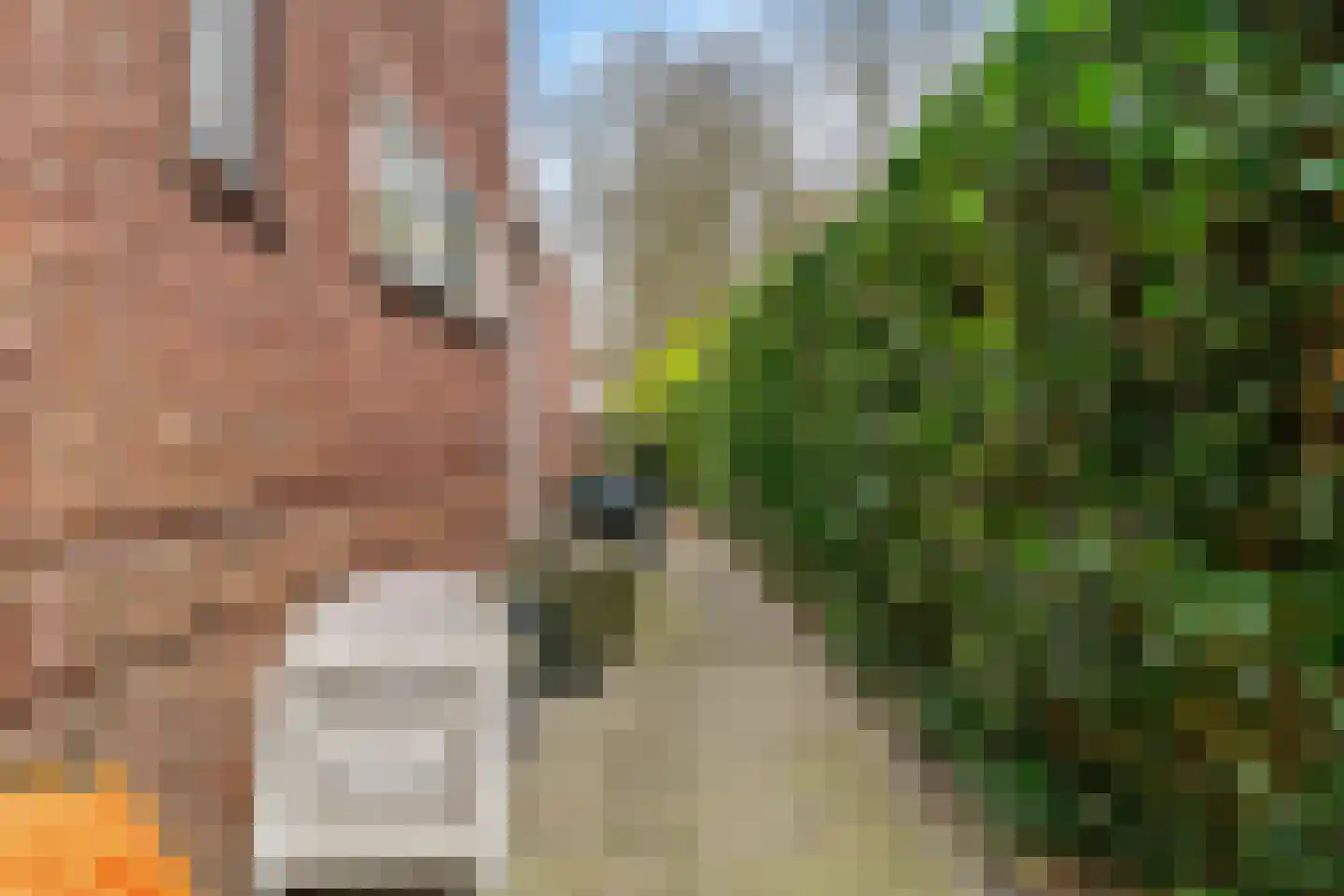 Hoge Rijndijk 219 Leiden thumbnail 40