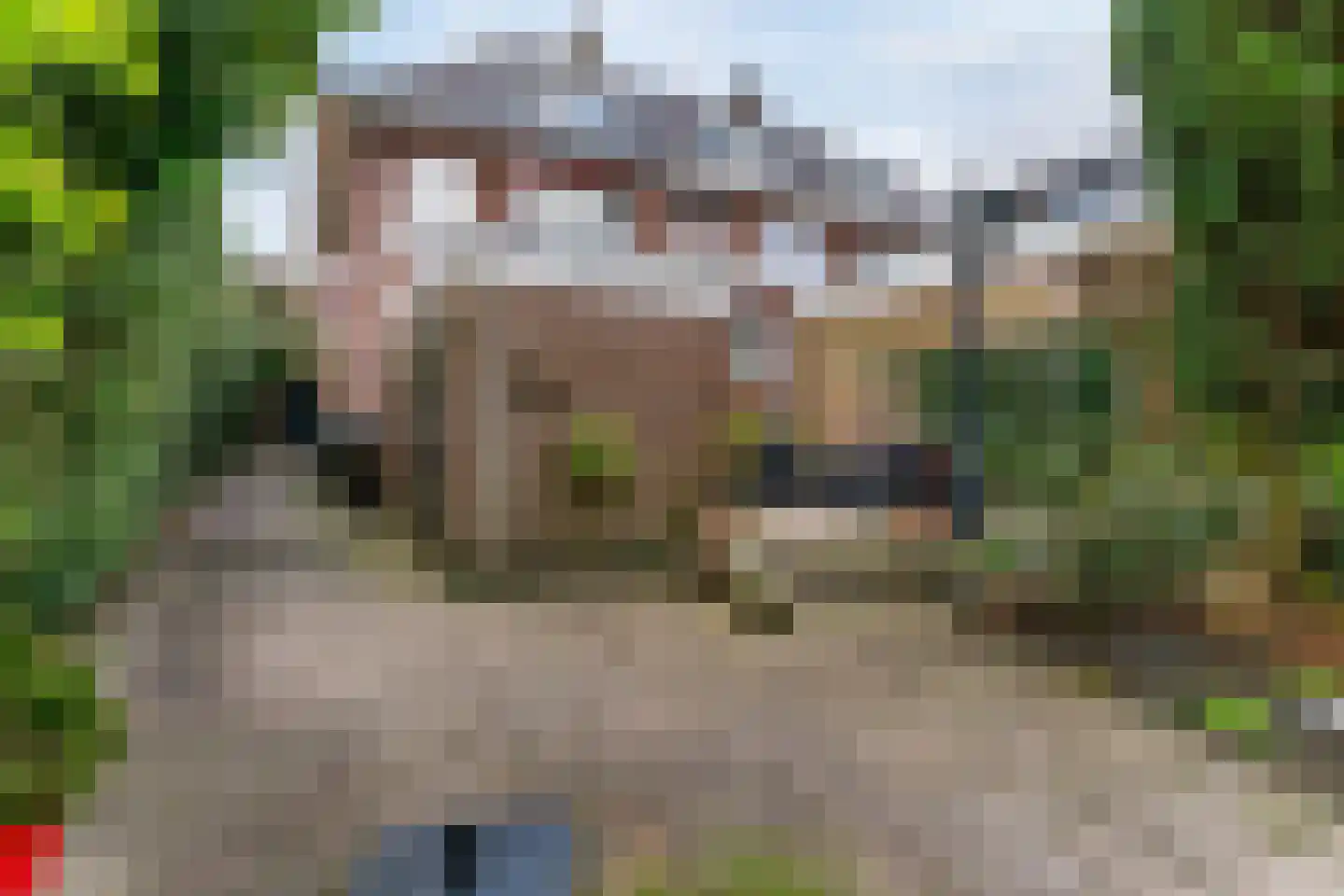 Hoge Rijndijk 219 Leiden thumbnail 41