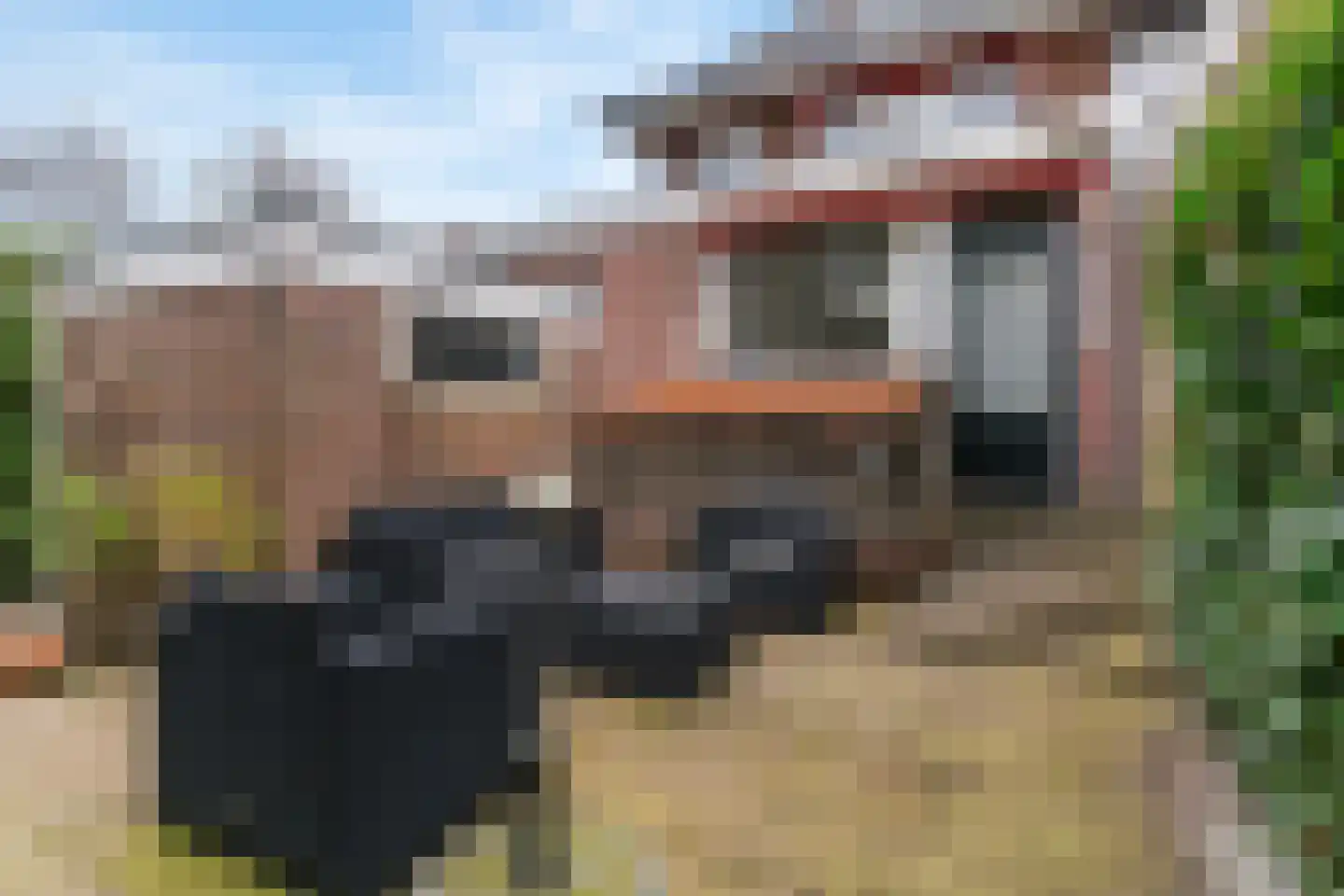 Hoge Rijndijk 219 Leiden thumbnail 42