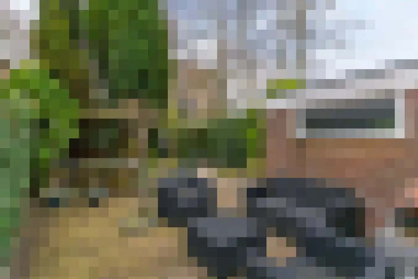 Hoge Rijndijk 219 Leiden thumbnail 43