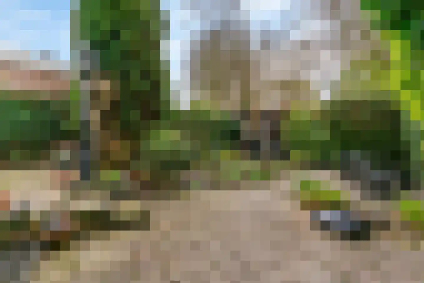 Hoge Rijndijk 219 Leiden thumbnail 44