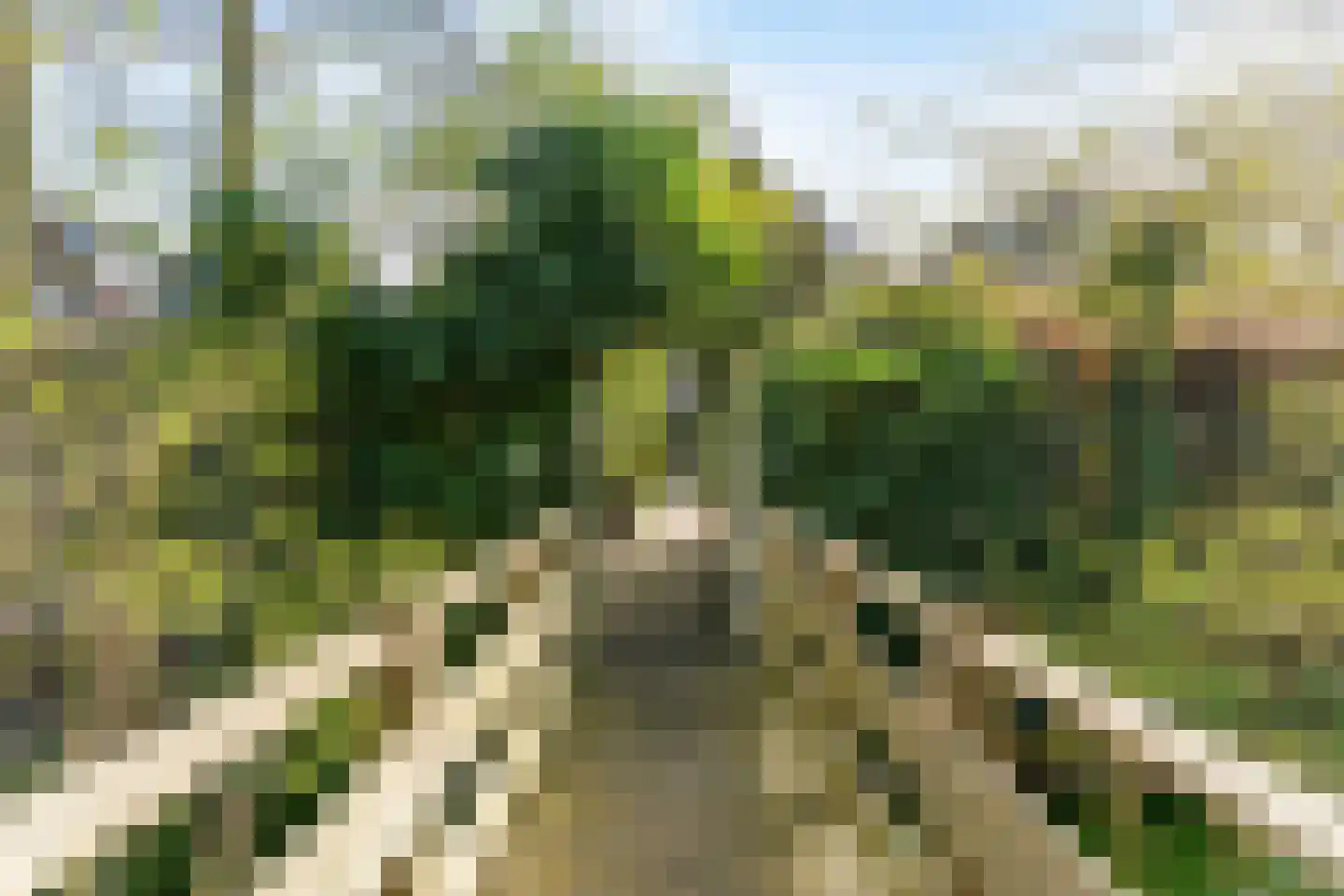 Hoge Rijndijk 219 Leiden thumbnail 49