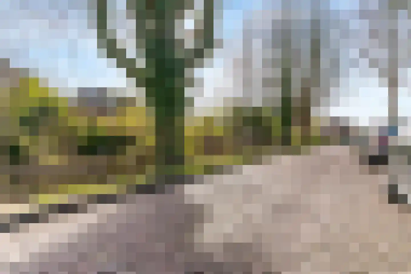 Hoge Rijndijk 219 Leiden thumbnail 50